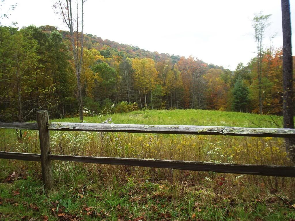 Franklin NC Land for Sale, Western NC Land for Sale, Otto NC Land for Sale